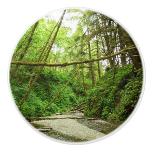 Bouton De Porte En Céramique Fern Canyon I au Redwood National Park