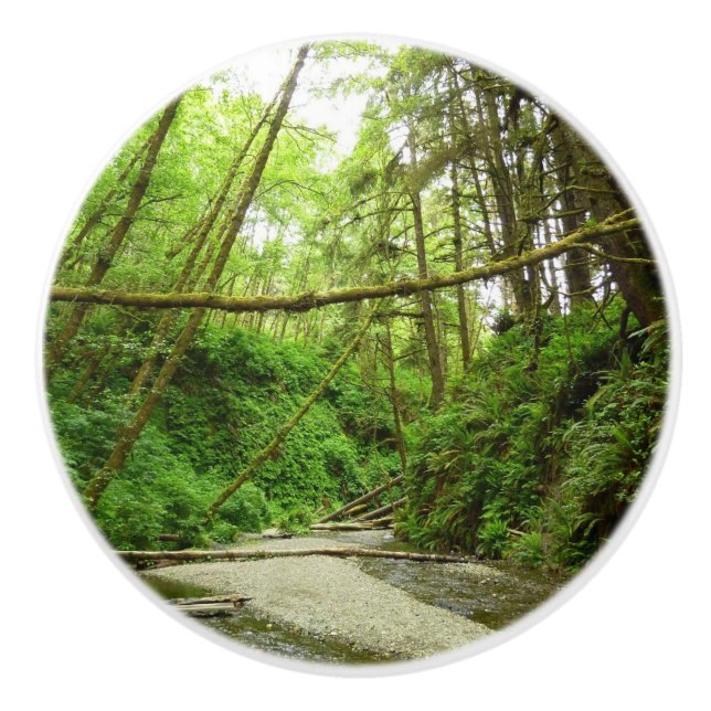Bouton De Porte En Céramique Fern Canyon I au Redwood National Park (Devant)