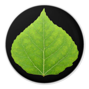 Bouton De Porte En Céramique Feuille d'Aspen vert #11