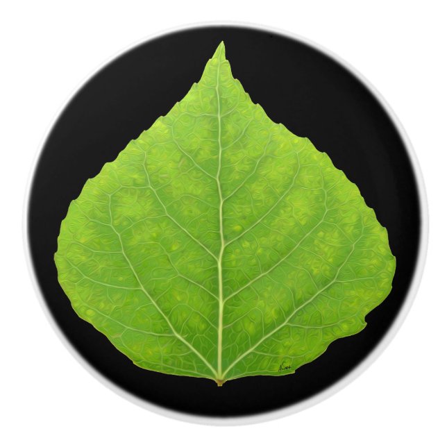 Bouton De Porte En Céramique Feuille d'Aspen vert #11 (Devant)