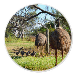 Bouton De Porte En Céramique Fiers Parents Emu Avec Des Poussins,
