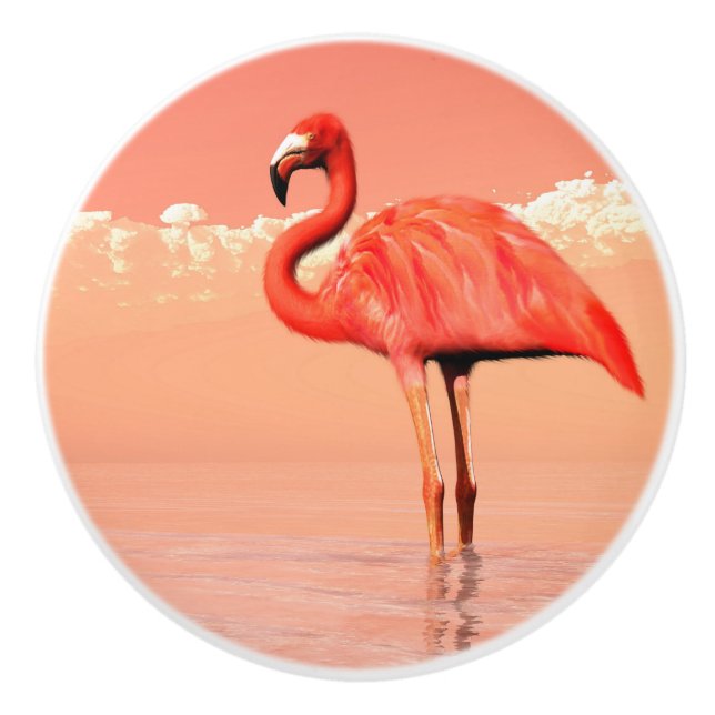 Bouton De Porte En Céramique Flamant rose dans l'eau - 3D rendent (Devant)
