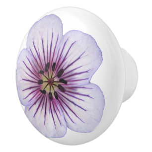 Bouton De Porte En Céramique Fleur bleu-clair botanique de géranium sur toute