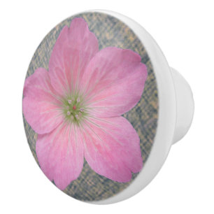 Bouton De Porte En Céramique Fleur de géranium rose botanique sur une couleur