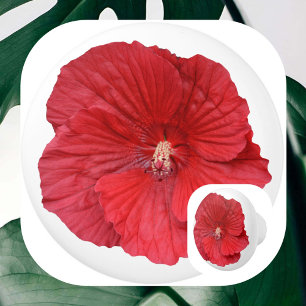 Bouton De Porte En Céramique Fleur d'Hibiscus Rouge Botanique Floral Photograph
