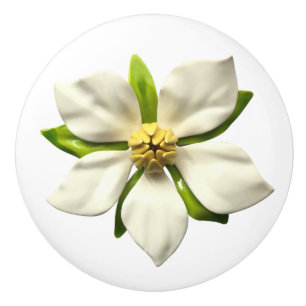 Bouton De Porte En Céramique Fleur Mariage en fleurs de Magnolia tropicale exot
