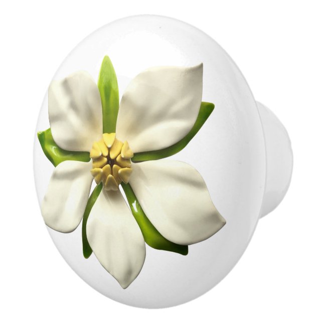 Bouton De Porte En Céramique Fleur Mariage en fleurs de Magnolia tropicale exot (Droite)