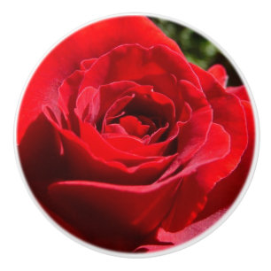 Bouton De Porte En Céramique Fleur rose rouge vif Belle florale