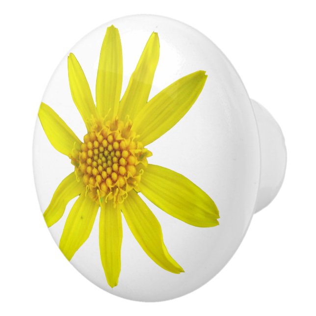 Bouton De Porte En Céramique Fleur sauvage jaune botanique d'arnica sur toute (Droite)