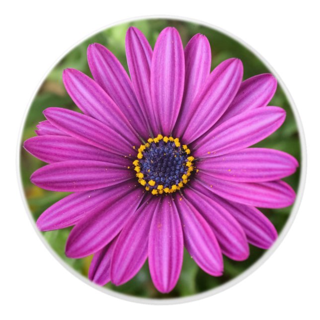 Bouton De Porte En Céramique Fleur violette parfaite (Devant)