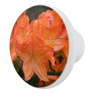 Bouton De Porte En Céramique Fleurs d'Azalea orange