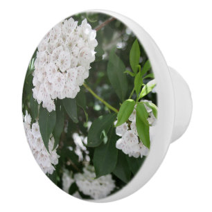 Bouton De Porte En Céramique Fleurs de laurier de montagne blanc