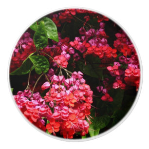 Bouton De Porte En Céramique Fleurs de pagode colorées rouge et rose