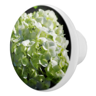 Bouton De Porte En Céramique Fleurs d'hydrangées vertes