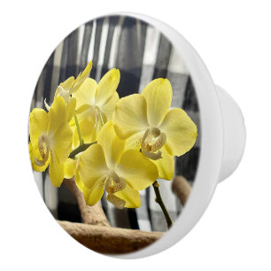 Bouton De Porte En Céramique Fleurs d'orchidées de Phalaenopsis jaune