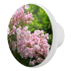 Bouton De Porte En Céramique Fleurs roses de laurier des montagnes 