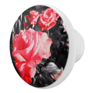 Bouton De Porte En Céramique Fleurs Roses romantiques #12