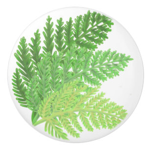 Bouton De Porte En Céramique Fleurs vertes de forêt de bois fougères plantes bo