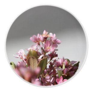 Bouton De Porte En Céramique Fleurs violettes Ceramic Knob