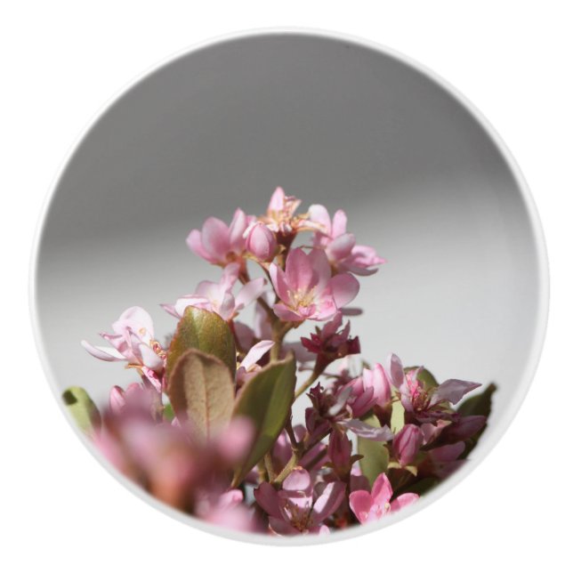 Bouton De Porte En Céramique Fleurs violettes Ceramic Knob (Devant)