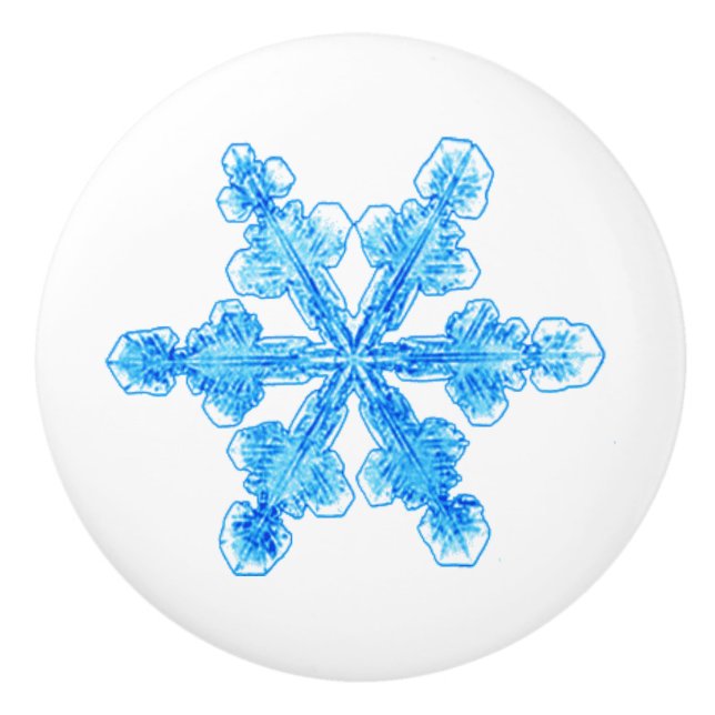 Bouton De Porte En Céramique Flocon de neige bleu Winnie (Devant)