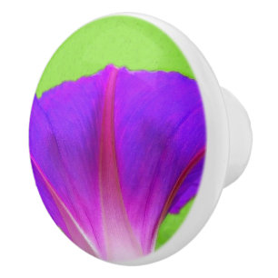 Bouton De Porte En Céramique Floral