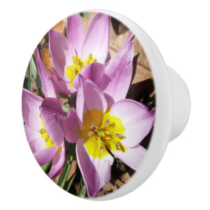 Bouton De Porte En Céramique Floral de Pink