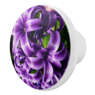 Bouton De Porte En Céramique Flore de printemps Blue Hyacinth II