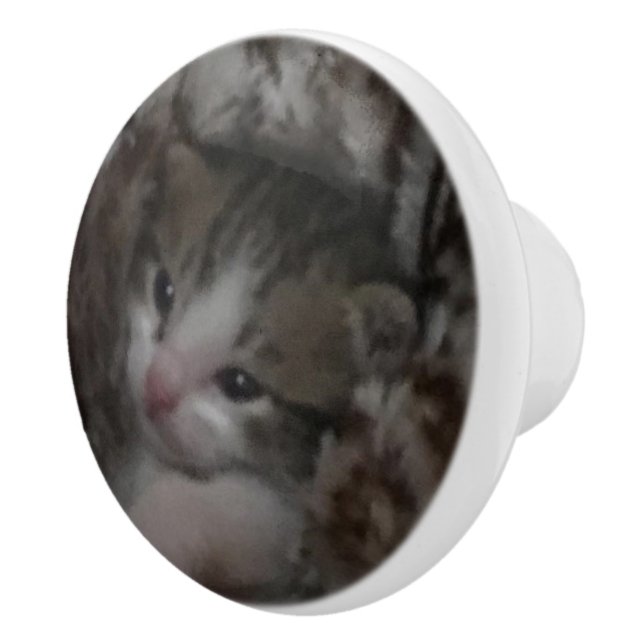 Bouton De Porte En Céramique Freddie (Droite)