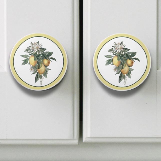 Bouton De Porte En Céramique Fruit au citron rond  (Créateur téléchargé)