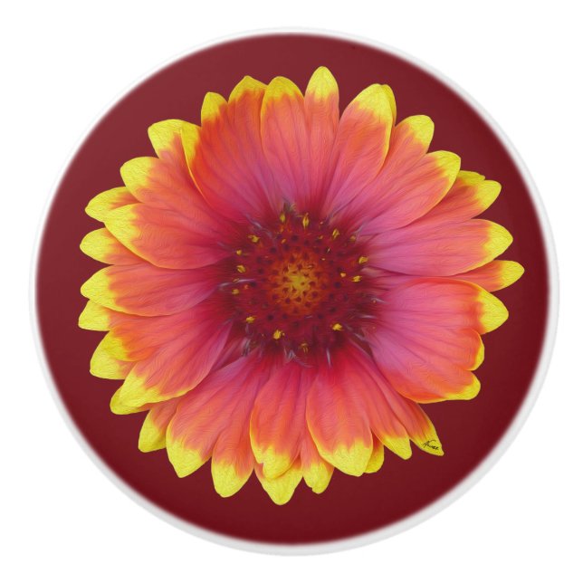 Bouton De Porte En Céramique Gaillardia 1 (Devant)