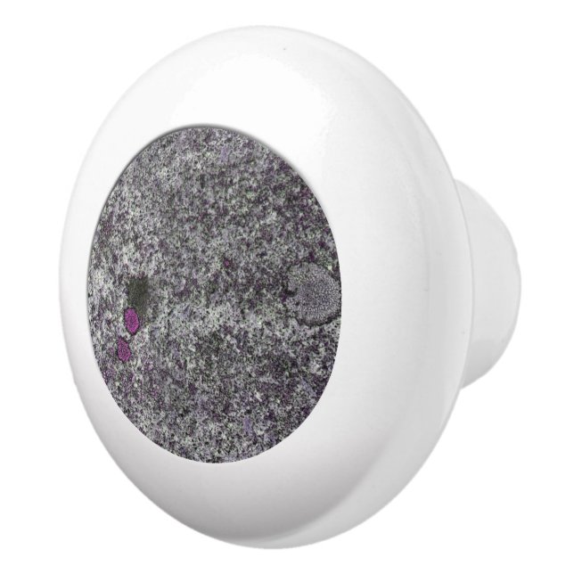 Bouton De Porte En Céramique Géologie Granit gris rose Détails (Droite)