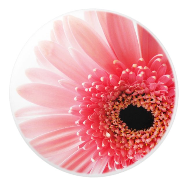 Bouton De Porte En Céramique Gerbera Rose Daisy (Devant)