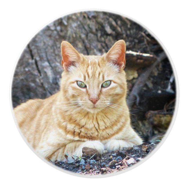 Bouton De Porte En Céramique Ginger Boy (Devant)
