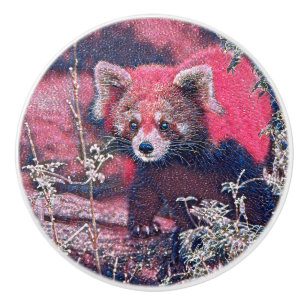 Bouton De Porte En Céramique GlitzyAnimal_RedPanda_005