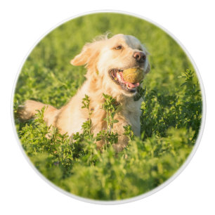 Bouton De Porte En Céramique Golden Retriever avec Tennis Ball Ceramic Knob