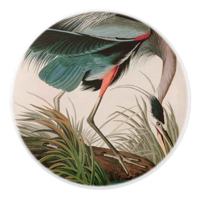 Bouton De Porte En Céramique Great Blue Heron Birds of America Audubon Imprimer (Devant)