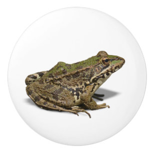 Bouton De Porte En Céramique Grenouille