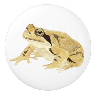 Bouton De Porte En Céramique Grenouille à bois