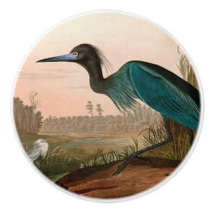 Bouton De Porte En Céramique Grue bleue ou Heron Birds of America Audubon Impri