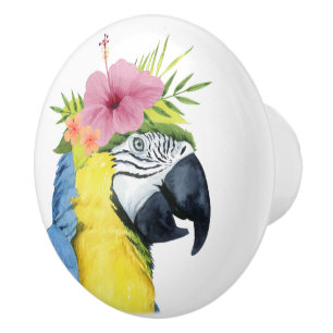 Bouton De Porte En Céramique Halo tropical - Perroquet
