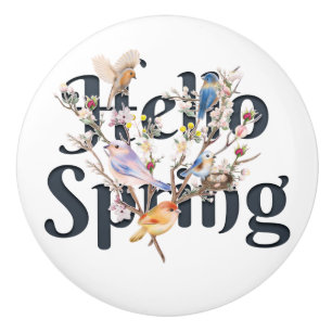 Bouton De Porte En Céramique Hello Spring Birds