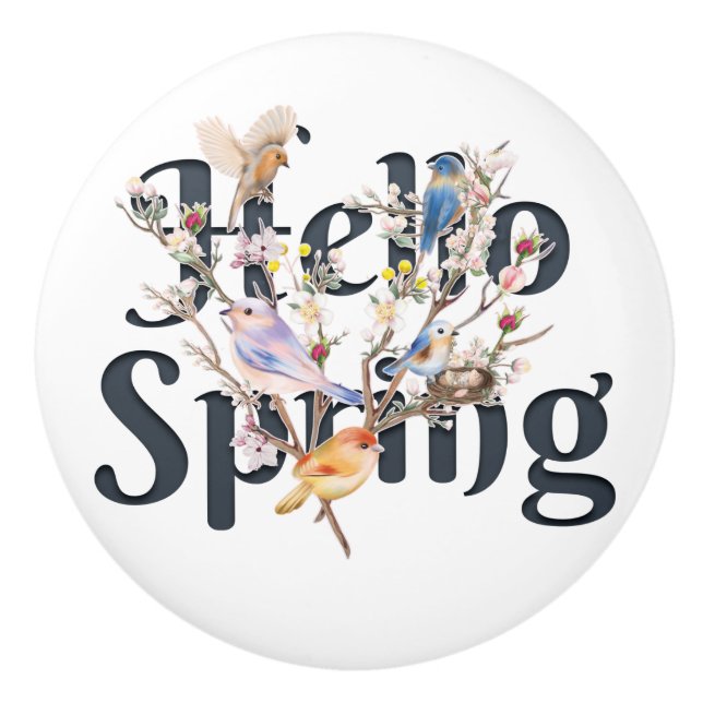 Bouton De Porte En Céramique Hello Spring Birds (Devant)