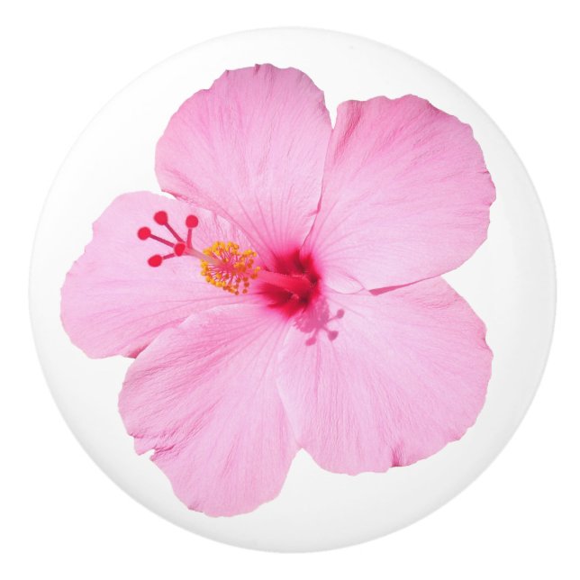 Bouton De Porte En Céramique Hibiscus rose Fleur tropicale (Devant)