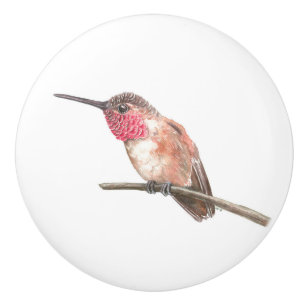 Bouton De Porte En Céramique Hummingbird watercolor