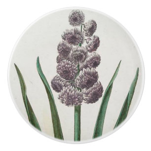 Bouton De Porte En Céramique Hyacinth