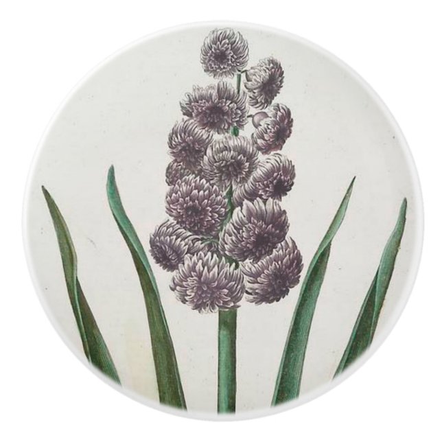 Bouton De Porte En Céramique Hyacinth (Devant)
