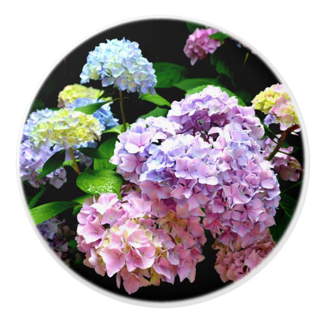 Bouton De Porte En Céramique Hydrangea garden, rose, bleu, purple floral (Devant)