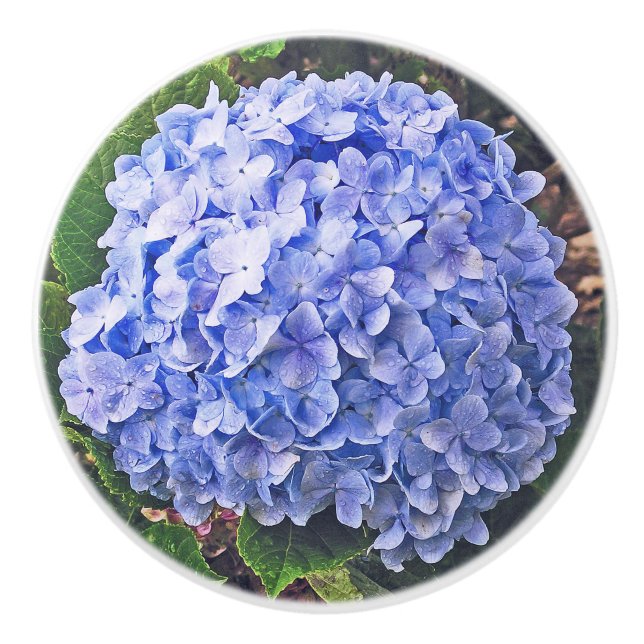 Bouton De Porte En Céramique Hydrangée bleue (Devant)