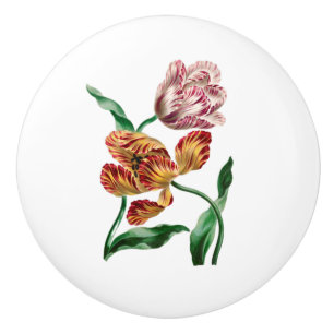 Bouton De Porte En Céramique Illustration botanique vintage de tulipe